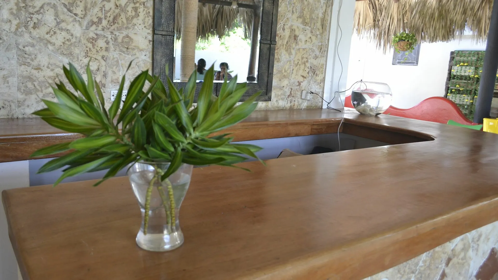 Guesthouse Caribe Punta Cana Bavaro