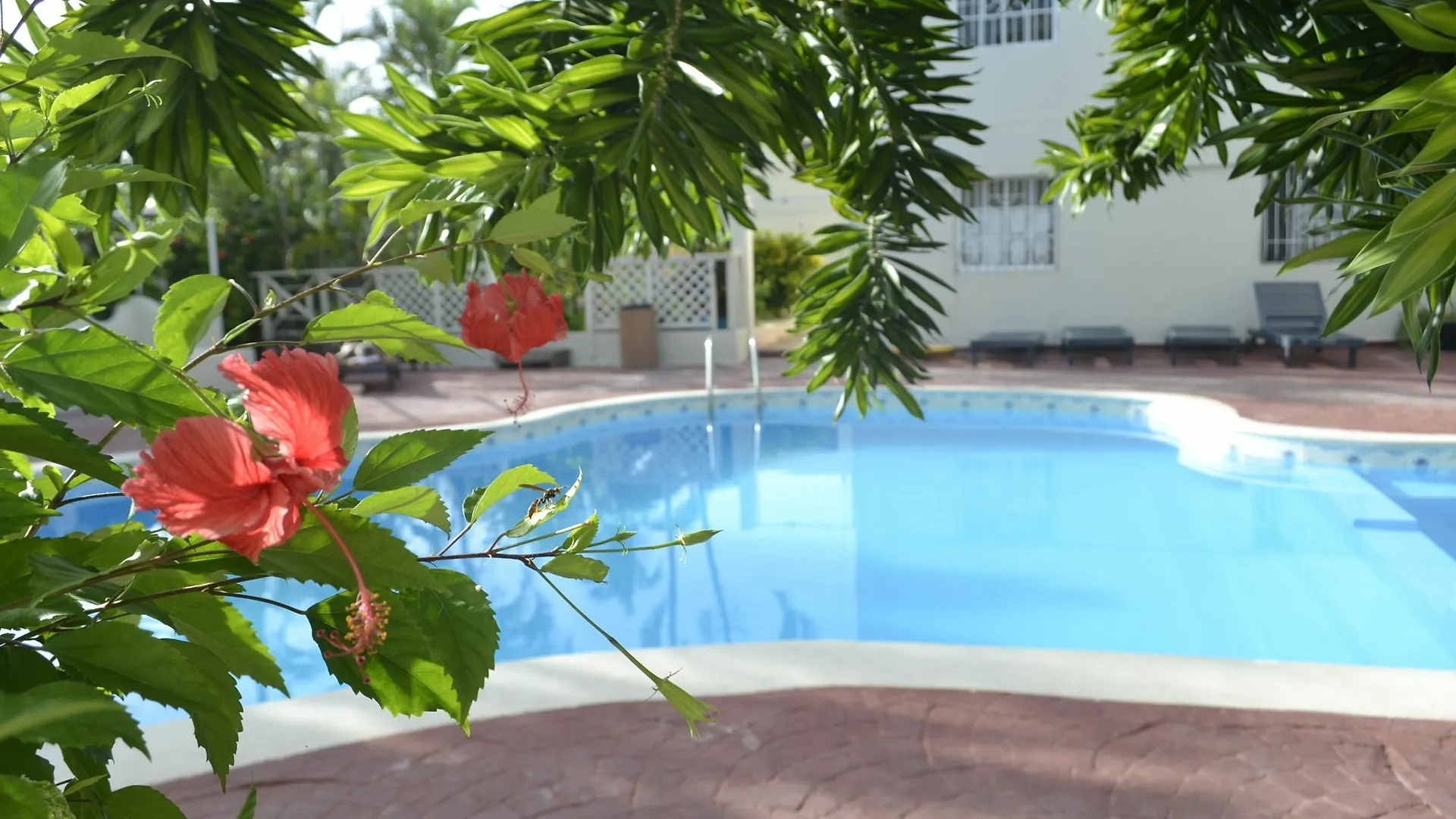 Guesthouse Caribe Punta Cana location